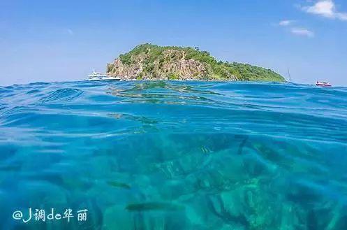 逃离废弃自然公园
