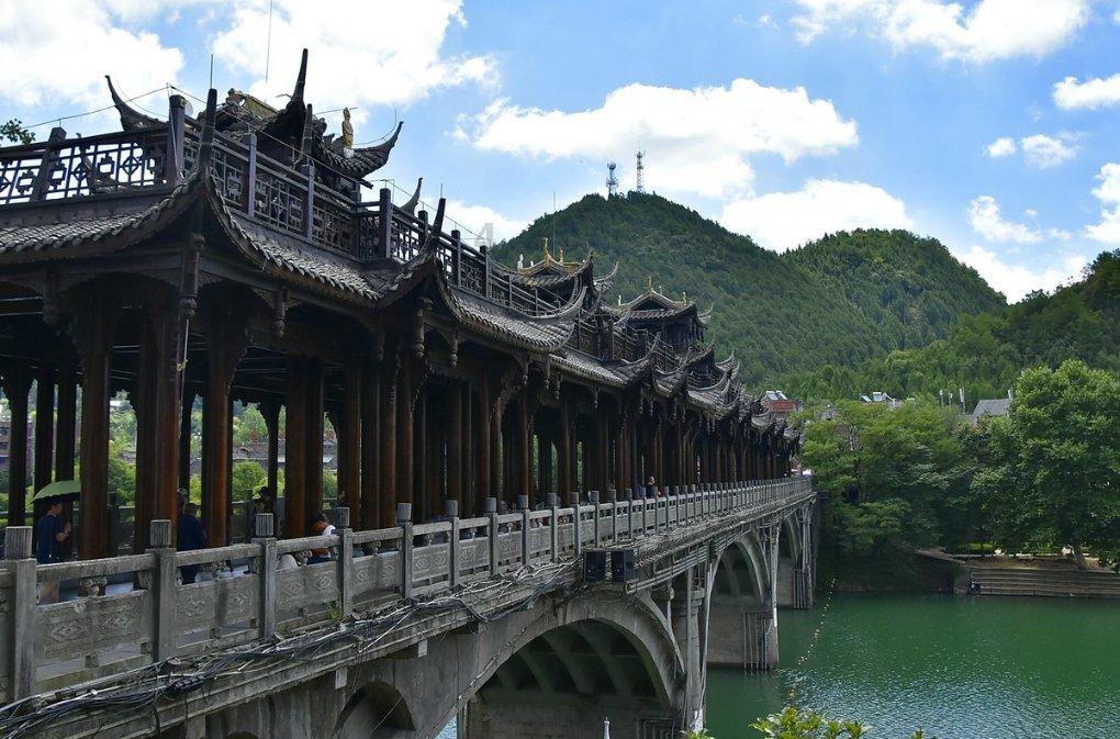 请问如果不小心撞了宠物什么的，狗呀猫呀啥的，请问是不是违法的，会不会被抓或者坐牢？游戏画面